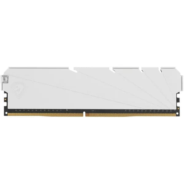 Netac Оперативная память NTSSD4P32SP-08W DDR4, 3200 МГц, 1 x 8 ГБ (NTSSD4P32SP-08W)
