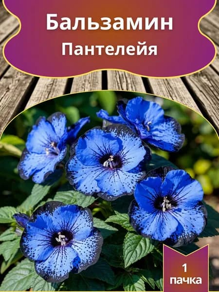 Бальзамин Пантелейя , семена 10 шт.