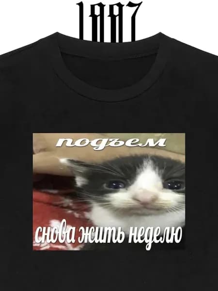 Футболка мем кот понедельник