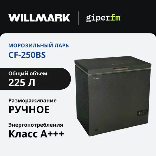 Морозильный ларь Willmark CF-250BS, объем 225 л, мощность замораживания 9.2 кг./сутки, BlackStone