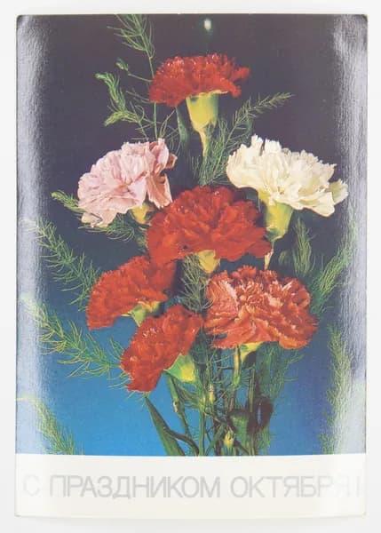 Открытка. "С праздником октября!". Чистая. 1987 г. Фото И. Дергилева