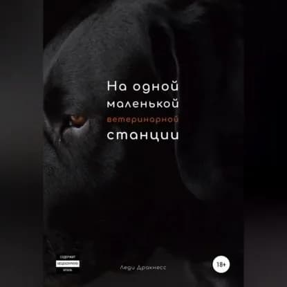 На одной маленькой ветеринарной станции | Дракнесс Леди | Электронная аудиокнига