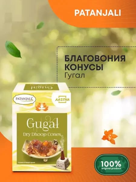 Благовония конусы сухие Aastha Guggal Dry Dhoop Cones (Гугал) для дома, йоги и медитации, Patanjali (Патанджали), 20г