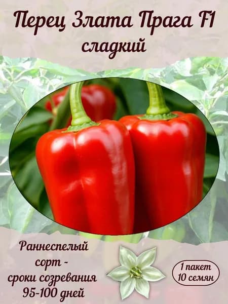 Перец Злата Прага F1 сладкий, семена, 10 шт., 15 гр.