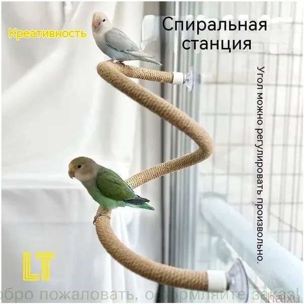 Популярная присада 60 см с жердочкой для окна