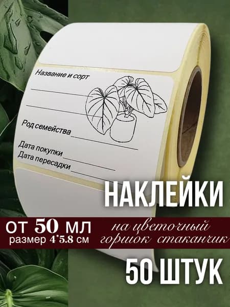 Наклейки Калладиум для цветочных горшков, кашпо, табличек, рассады, 50 штук, размер 4х5.8 см