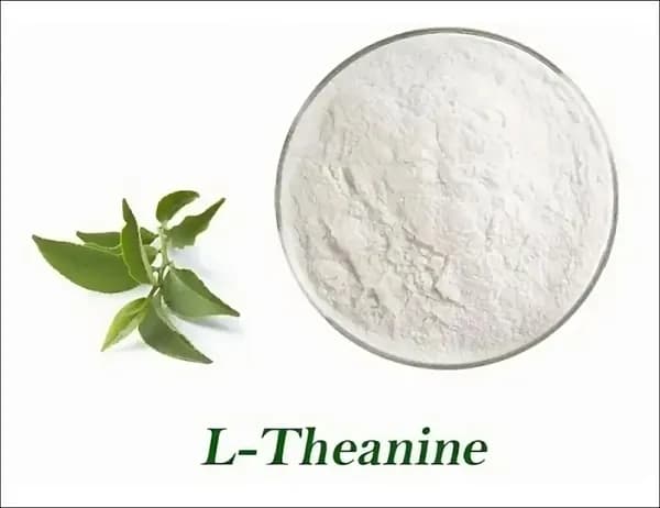 L-Теанин, 100 грамм