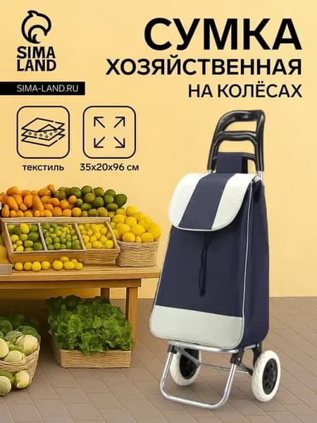 Синяя хозяйственная тележка на шнуре 35х20х96 см