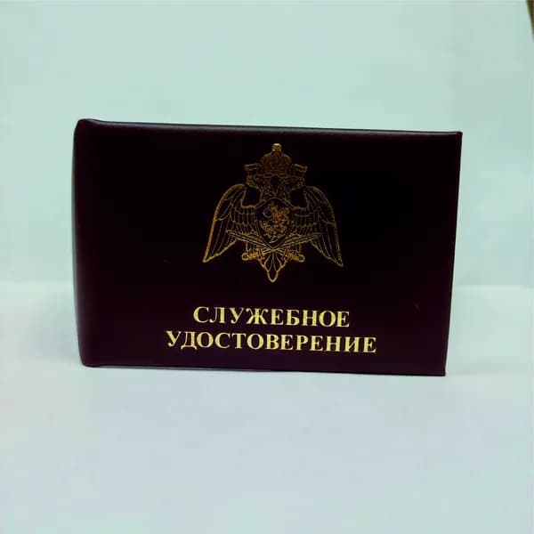 Бизнес-Класс Бланк документа, листов: 1