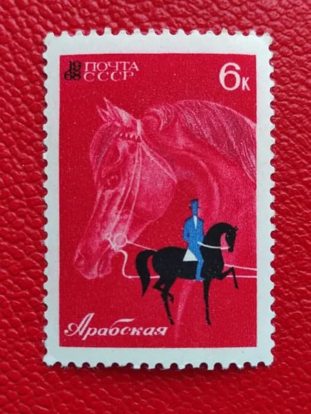 Марки СССР 1968. Конный спорт: "Арабов лошадь''. См фото