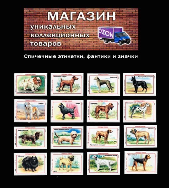 Спичечные этикетки. Породы собак (1). Домашние животные. Редкий коллекционный набор.