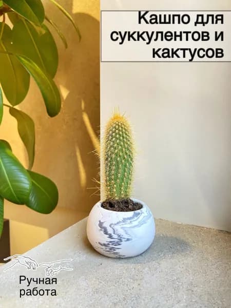 Горшок для цветов, 5.5 см х 8 см, 1 шт