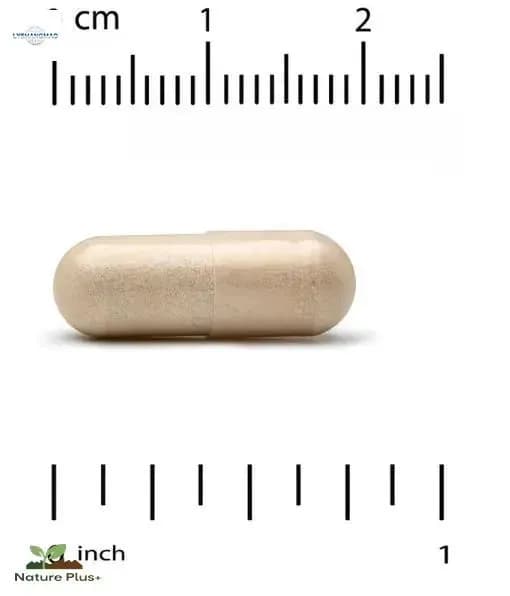 Антиоксидант