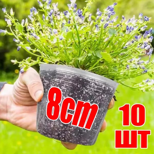 Вазон, 10 шт, цвет прозрачный