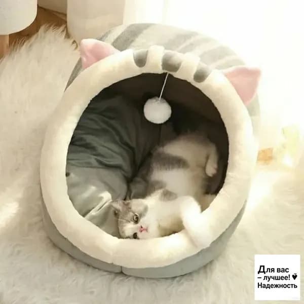 домик для кошки