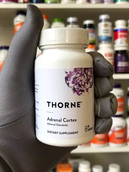 Адринал кортекс Adrenal Cortex адреналин адренал
