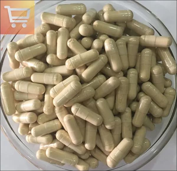 Розмариновая кислота 5% (Rosmarinic Acid 5%), Белая капсула 450 мг*100 гранулыDR.MENFTY