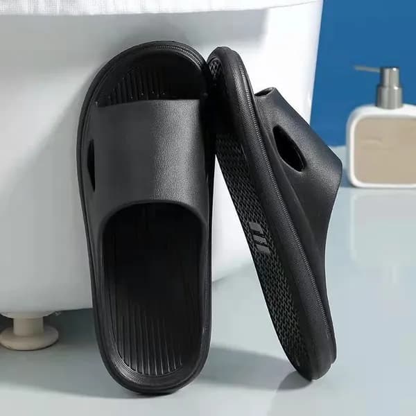 Сланцы