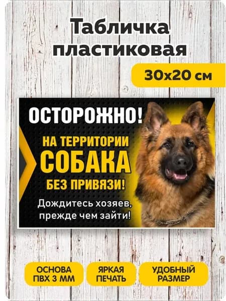 Табличка на дом Злая собака 20х30 см