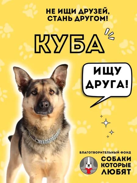Помочь Кубе найти дом