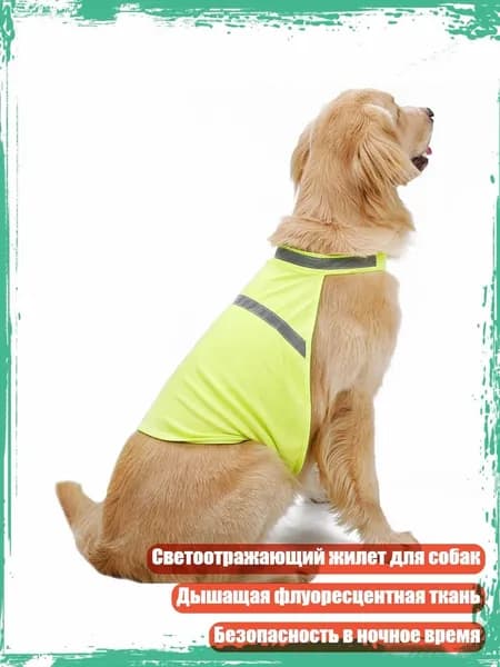 Модный жилет для ночных прогулок с собакой, дышащий, тренировки, Флуоресцентный желтый - L