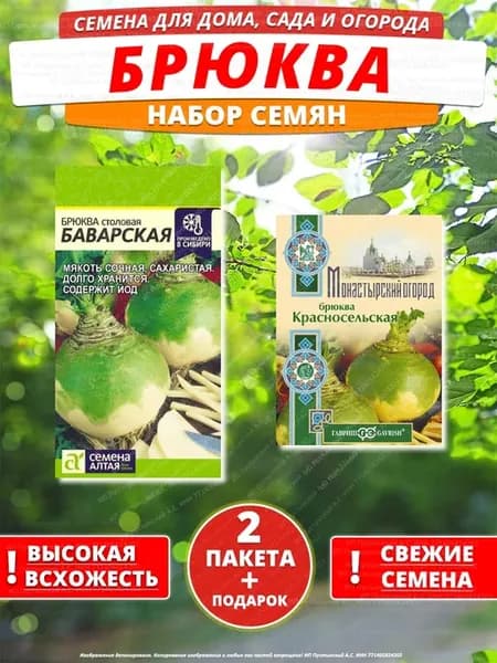 Семена брюква для дома сада посадки