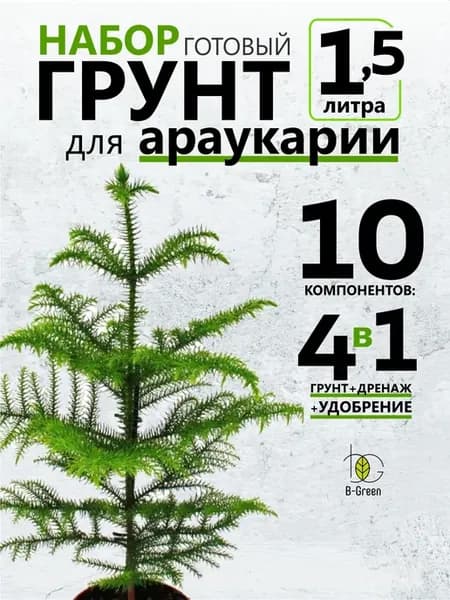 Грунт для Араукарии Норфолкской Сосны Подокаруса