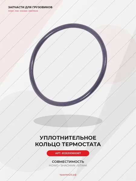 Уплотнительное кольцо термостата для Shacman / Howo / WP12