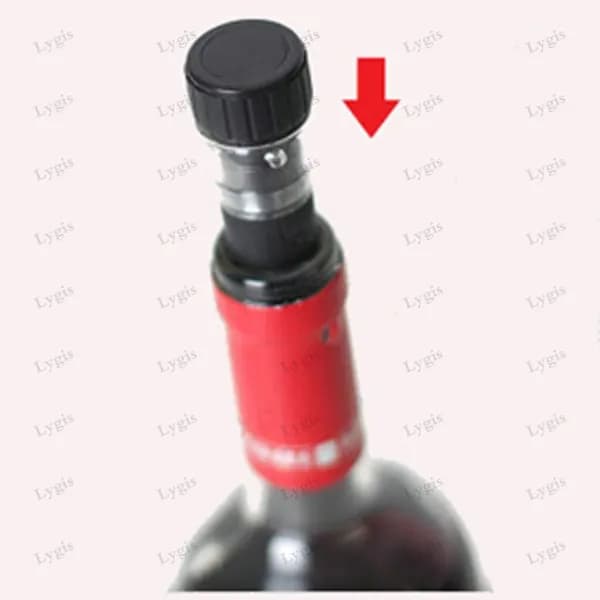 Вакуумная система для консервации продуктов, 1 предм.