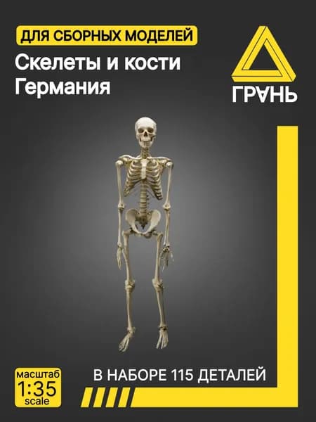Скелеты и кости ,Германия, масштаб 1 35,