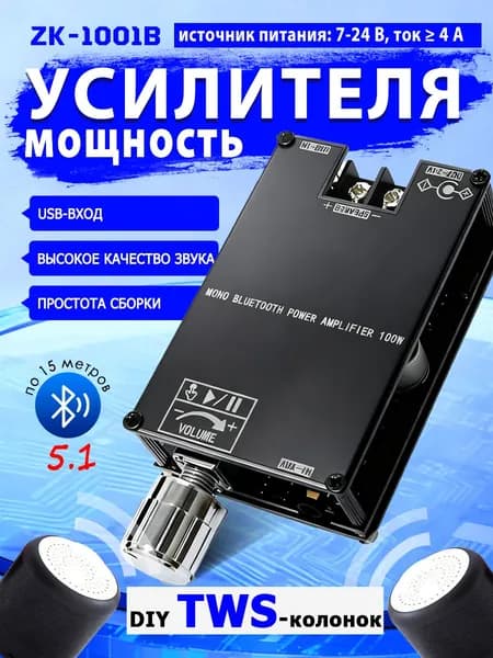 Моноусилитель мощности ZK-1001B 100 Вт Моно BT Аудио TWS Настоящая беспроводная связь