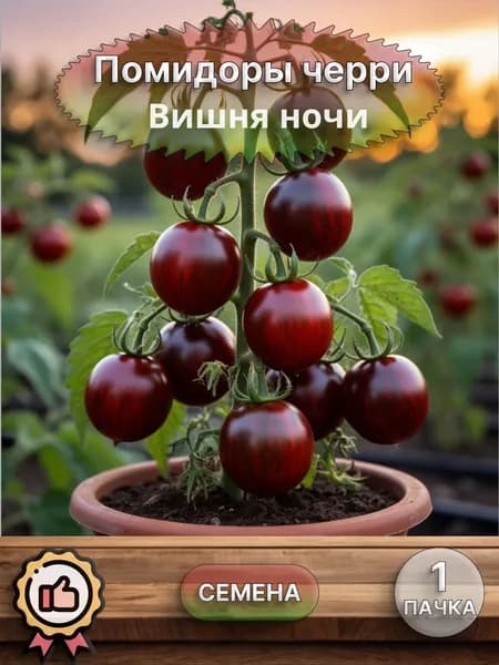 Помидор черри Вишня ночи, семена, 10 шт.