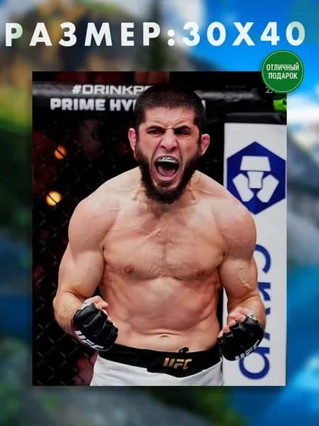 Картина на холсте 30 x 40 боец Ufc Ислам Махачев