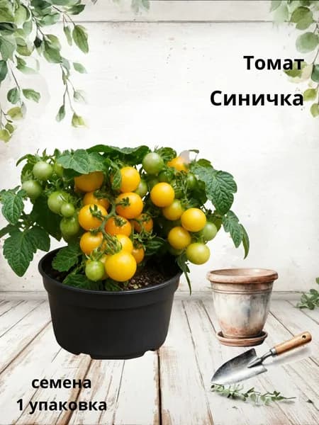 Коллекционные семена томата Синичка, 10 шт