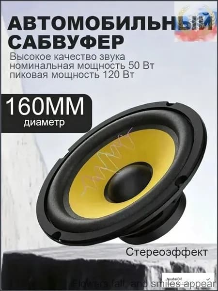 Сабвуфер автомобильный, 16 см (6 дюйм.)