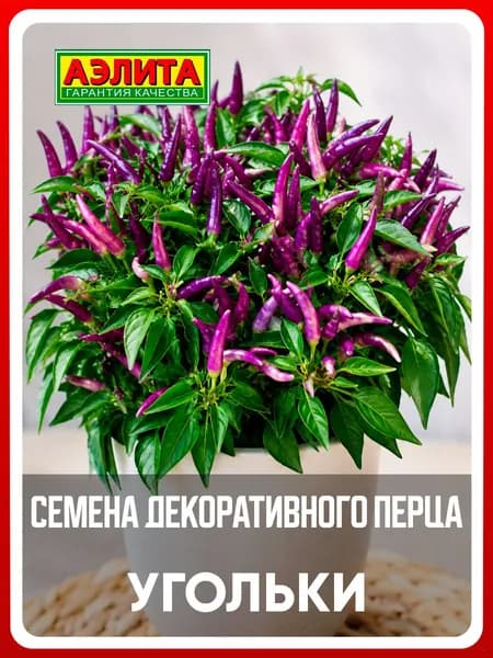 Семена перец декоративный острый "Угольки", 10 шт, для дома, дачи и огорода, перец из семян, для теплицы и открытого грунта