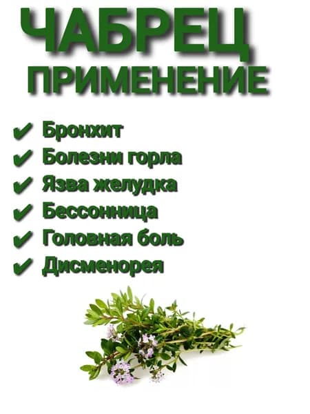 Чабрец сушеный для чая (молотый, сушеный)