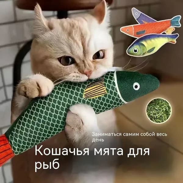 Кошачья мята, скрежет зубами, устойчивые к укусам кошачьи игрушки