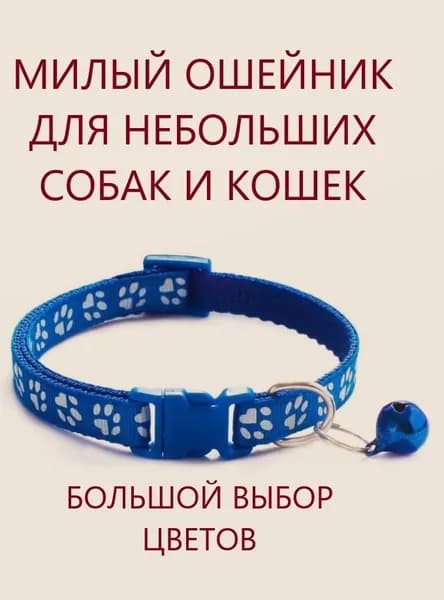 Ошейник