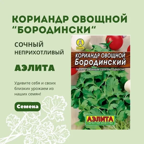 Кориандр овощной Бородинский, семена Аэлита