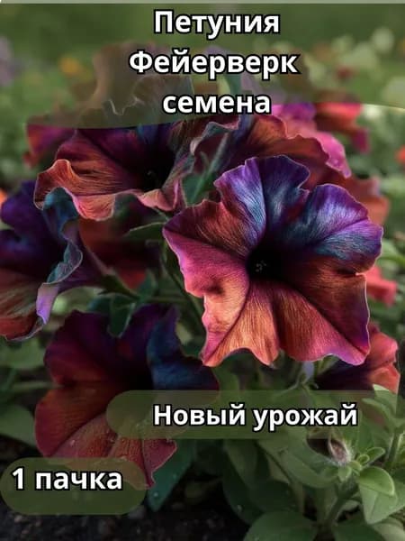 Петуния Фейерверк, семена 10 шт