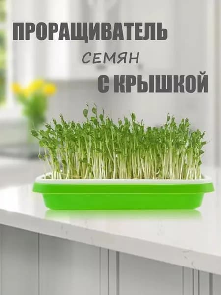 Проращиватель семян,1шт