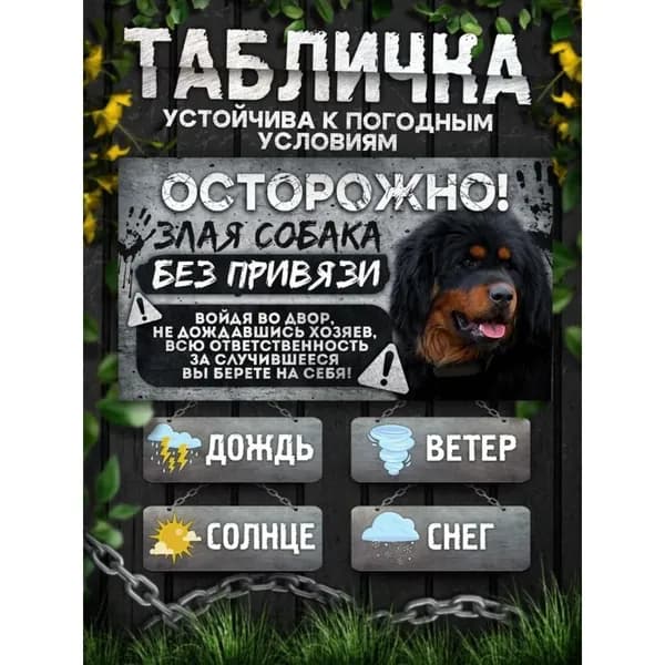 Табличка, на забор, DANGER DOG, Осторожно! Во дворе собака без привязи, Монгольский банхар, 20x30 см