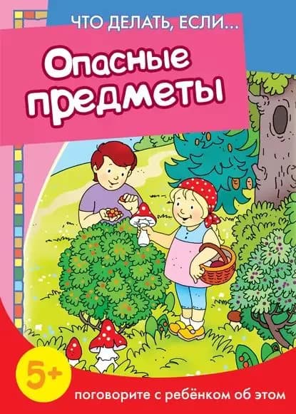 Опасные предметы. Поговорите с ребенком об этом | Евдокимова Н. Н. | Электронная книга