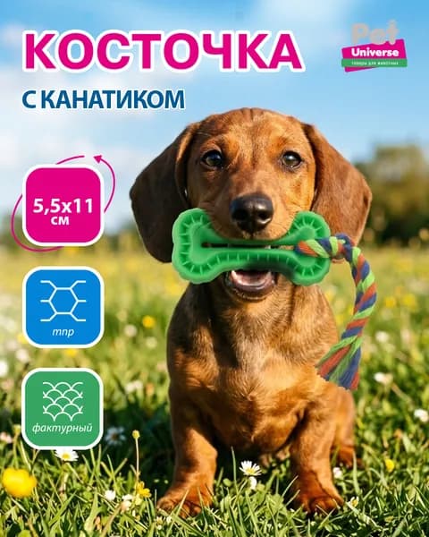 Игрушка для собак Pet Universe Косточка с канатиком 11х5,5х1,5 см, ТПР, зелёный, PU3008GN