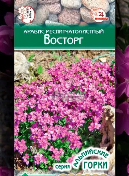 Арабис реснитчатолистый Восторг /10 шт семян