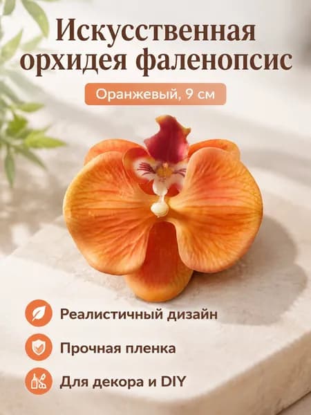Стабилизированные цветы Фаленопсис 1 шт оранжевый
