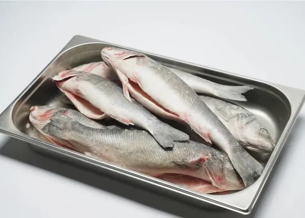 Сибас свежемороженый ПСГ (бабочка), IQF, 400-600гр. 2,5 кг .