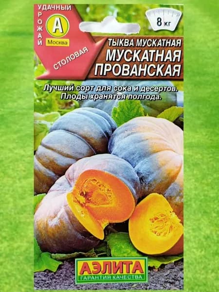 Аэлита Семена