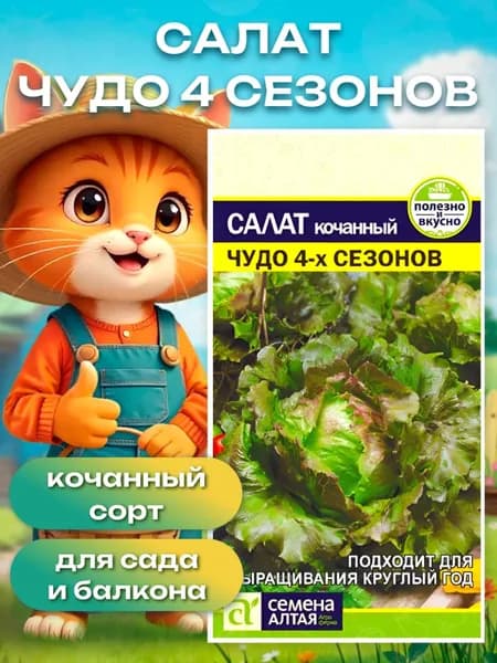 Семена зелени для посадки, Салат "Чудо 4 сезонов" 0,5 гр. Семена Алтая
